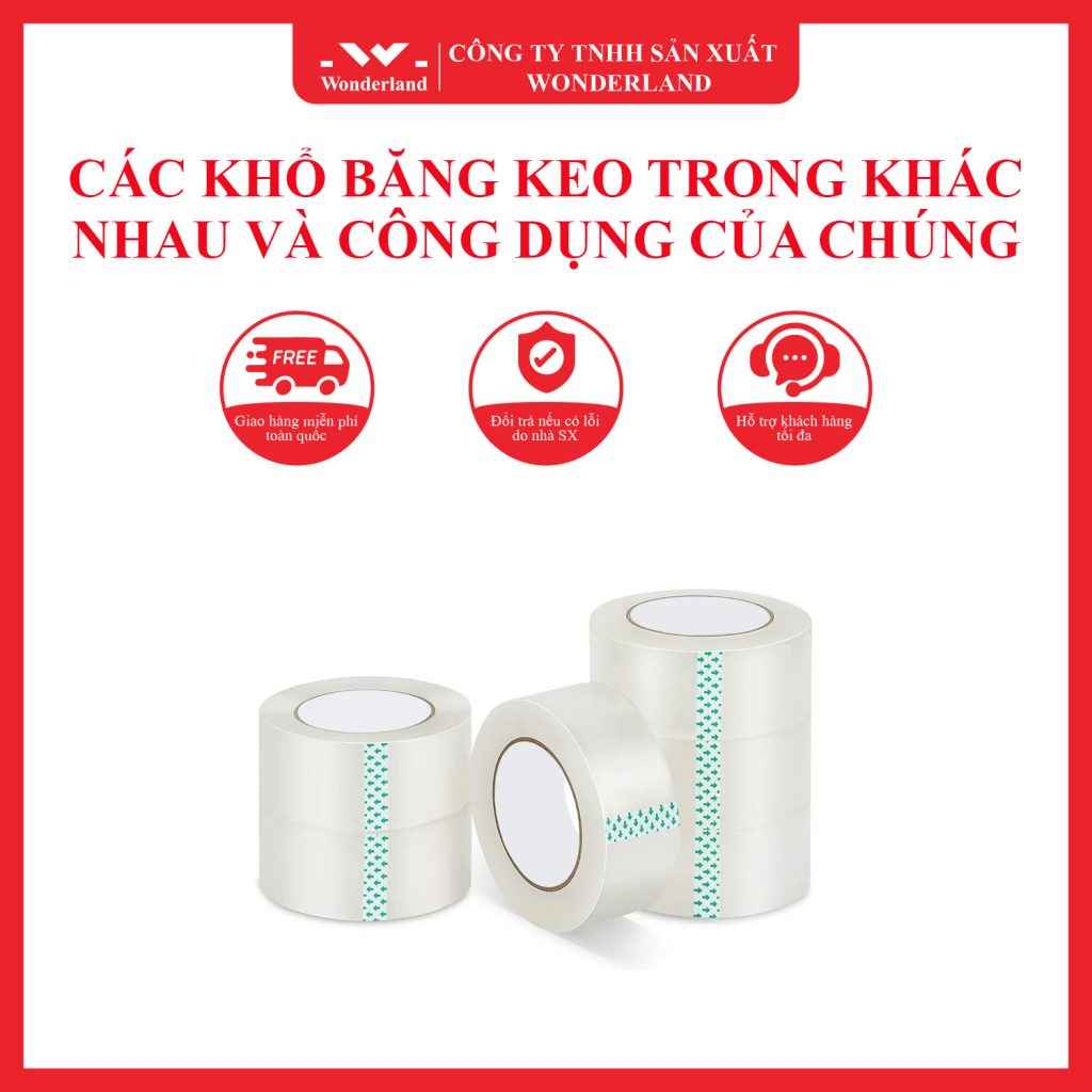 CÁC KHỔ BĂNG KEO TRONG KHÁC NHAU VÀ CÔNG DỤNG CỦA CHÚNG