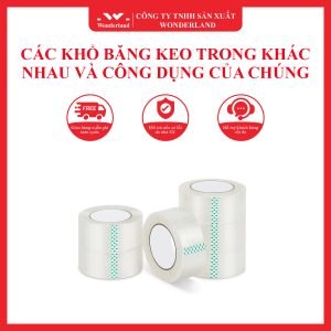 CÁC KHỔ BĂNG KEO TRONG KHÁC NHAU VÀ CÔNG DỤNG CỦA CHÚNG