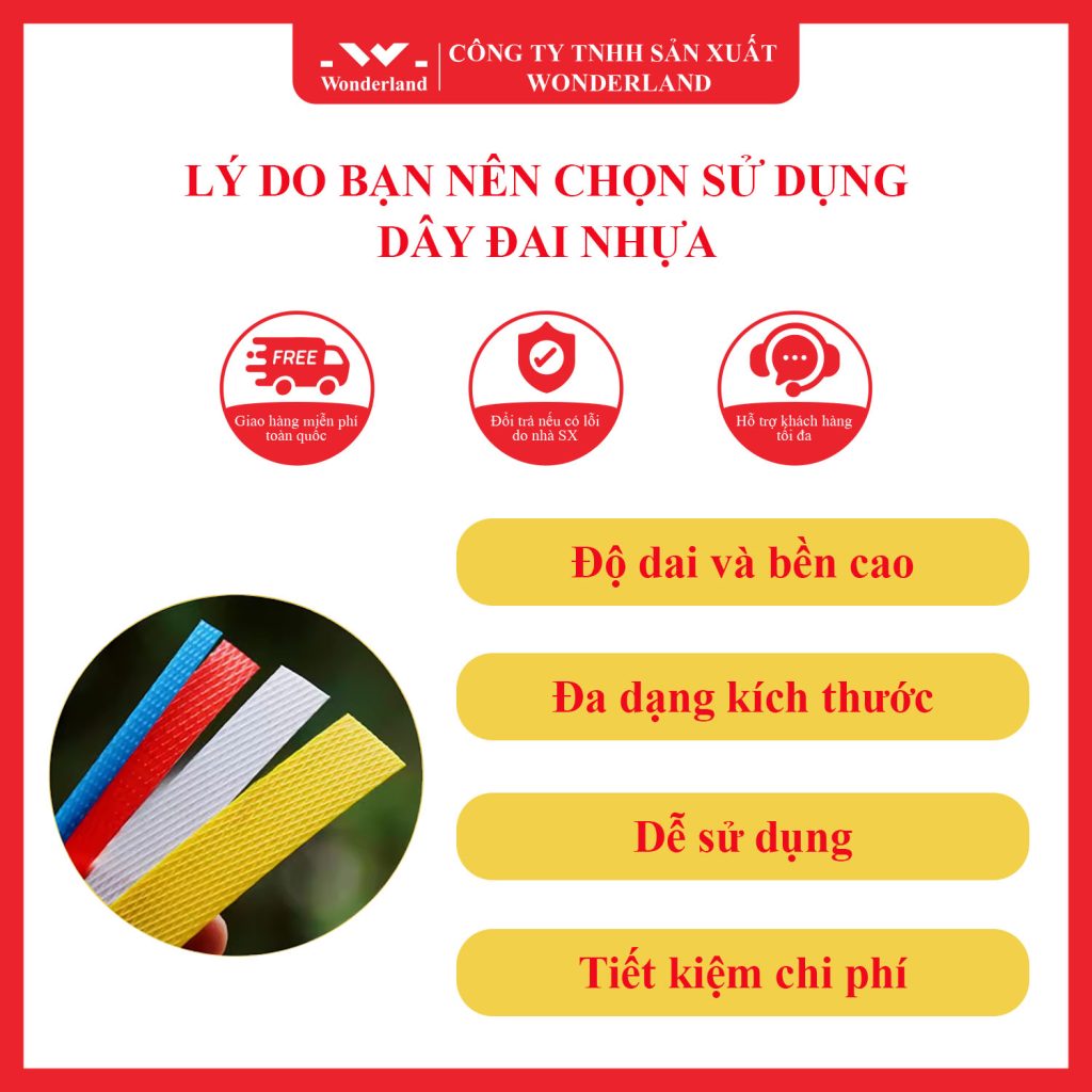 LÝ DO BẠN NÊN CHỌN SỬ DỤNG DÂY ĐAI NHỰA