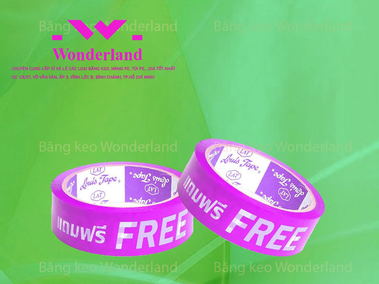 BĂNG KEO IN CHỮ SIZE 29MM WONDERLAND TỐT NHẤT
