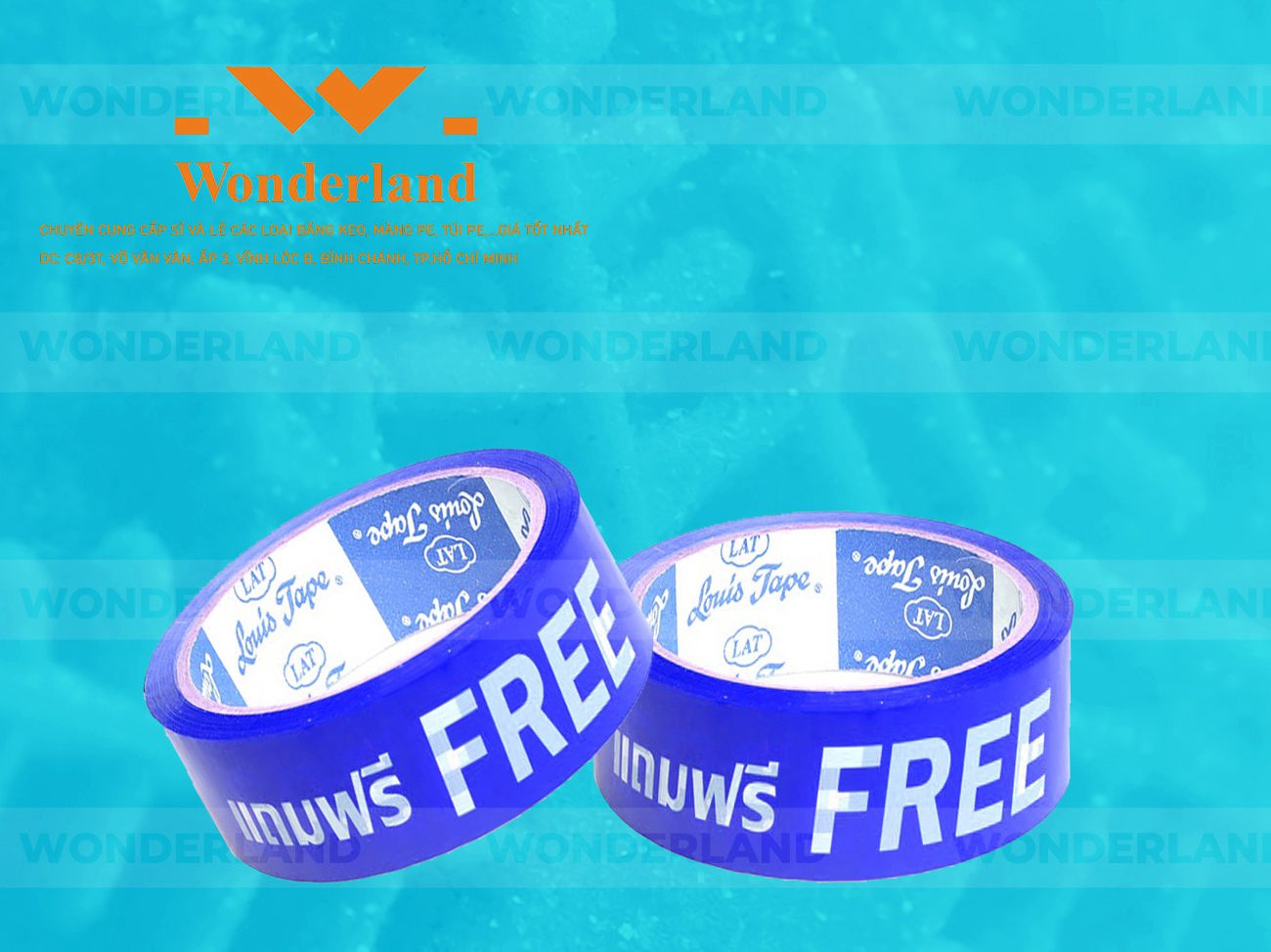 BĂNG KEO IN CHỮ SIZE 31MM WONDERLAND CHẤT LƯỢNG