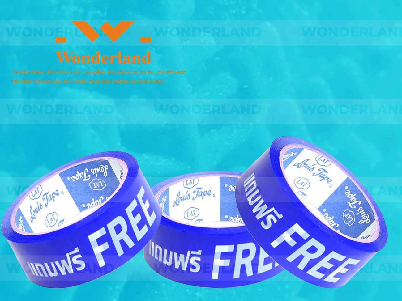 BĂNG KEO IN CHỮ SIZE 31MM WONDERLAND GIÁ SỈ