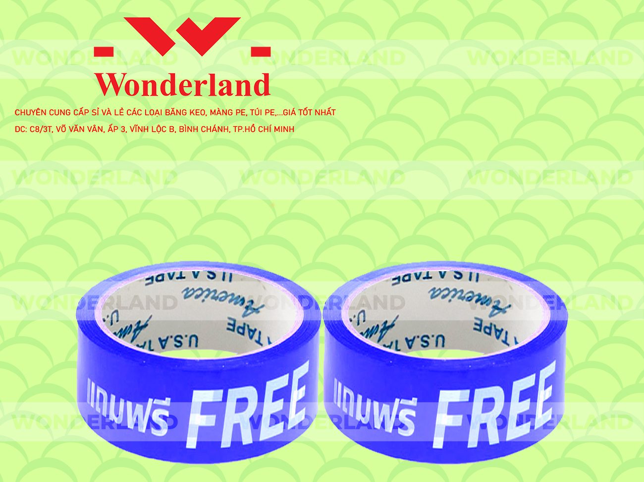BĂNG KEO IN CHỮ SIZE 37MM WONDERLAND CHẤT LƯỢNG