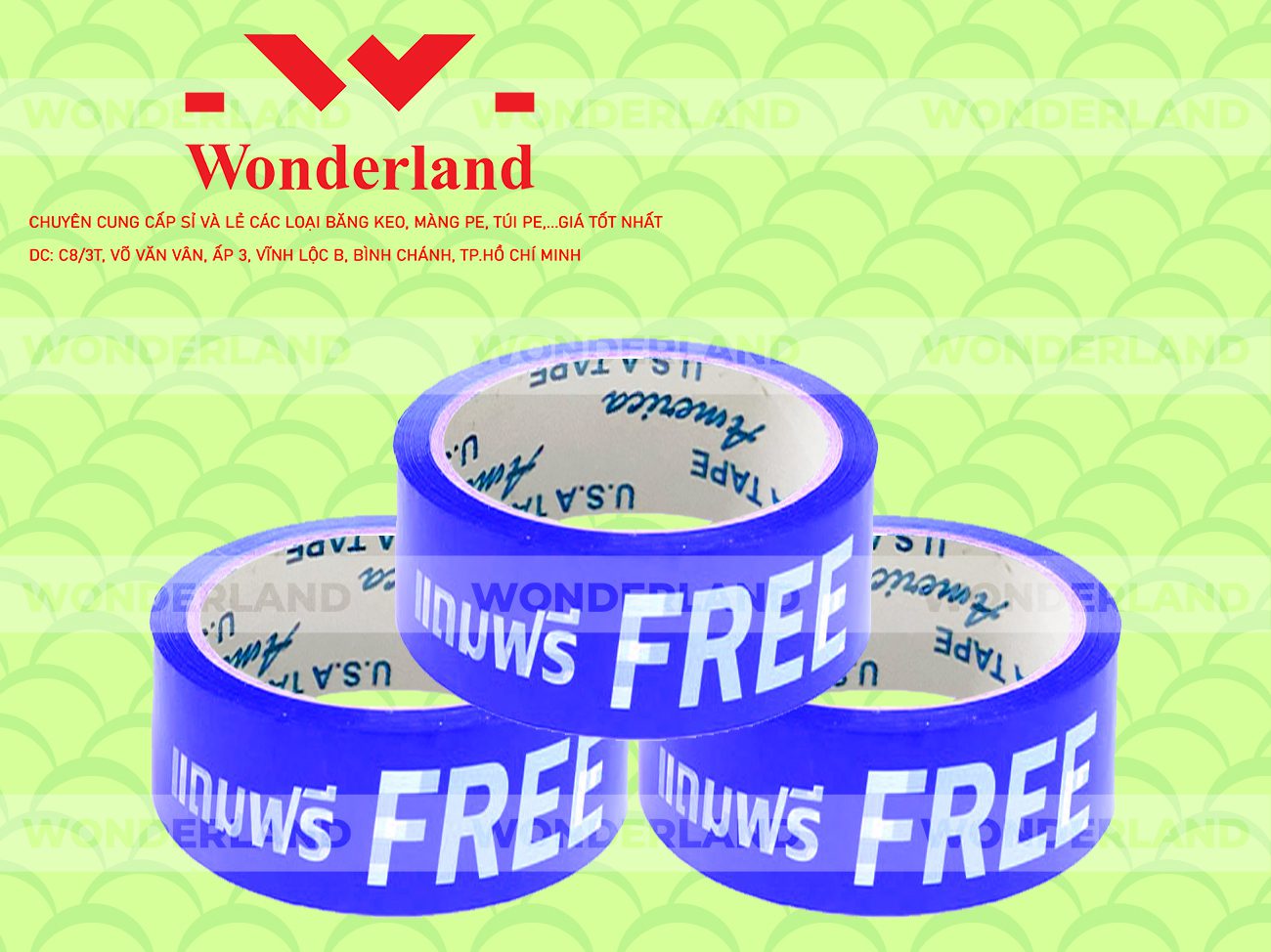 BĂNG KEO IN CHỮ SIZE 37MM WONDERLAND GIÁ SỈ TỐT NHẤT