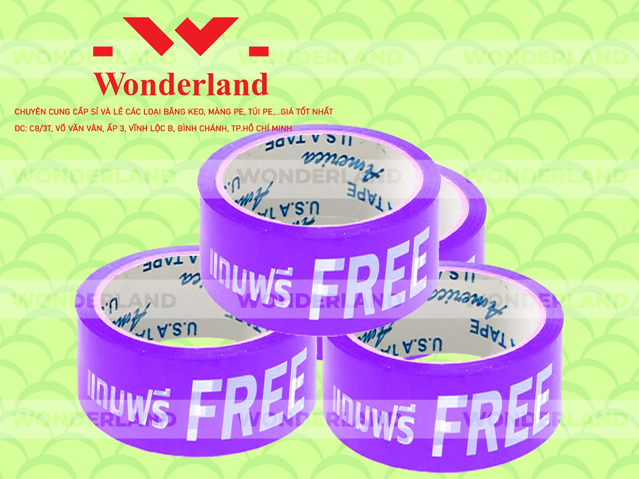 BĂNG KEO IN CHỮ SIZE 39MM WONDERLAND GIÁ SỈ TỐT NHẤT