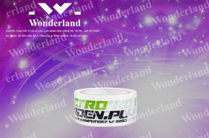 ĐẶT HÀNG BĂNG KEO IN CHỮ SIZE 40MM GIÁ RẺ Ở ĐÂU