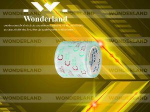 NHÀ CUNG CẤP BĂNG KEO IN CHỮ SIZE 79MM GIÁ RẺ NHẤT TẠI TP. HỒ CHÍ MINH?