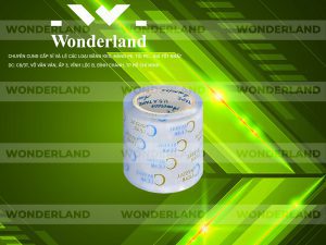 NHÀ CUNG CẤP BĂNG KEO IN CHỮ SIZE 81MM GIÁ RẺ NHẤT TẠI TP. HỒ CHÍ MINH?