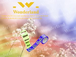 ĐẶT HÀNG BĂNG KEO IN LOGO SIZE 30MM CHẤT LƯỢNG TỐT NHẤT Ở ĐÂU?