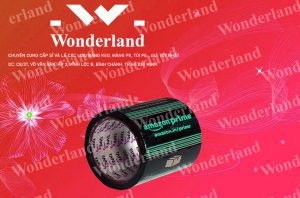 ĐÂU LÀ NHÀ CUNG CẤP BĂNG KEO IN LOGO SIZE 88MM CHẤT LƯỢNG NHẤT