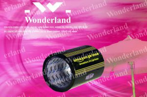 ĐẶT HÀNG BĂNG KEO IN LOGO SIZE 98MM Ở ĐÂU CÓ GIÁ SỈ TỐT NHẤT?