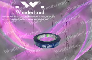 ĐẶT HÀNG BĂNG KEO IN SIZE 13MM CHẤT LƯỢNG CAO Ở ĐÂU?