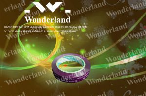 ĐẶT HÀNG BĂNG KEO IN SIZE 19MM Ở ĐÂU CÓ GIÁ SỈ TỐT NHẤT?