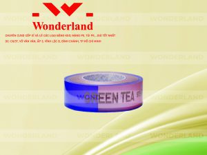 NHÀ CUNG CẤP BĂNG KEO IN SIZE 21MM GIÁ RẺ NHẤT TẠI TP. HỒ CHÍ MINH?