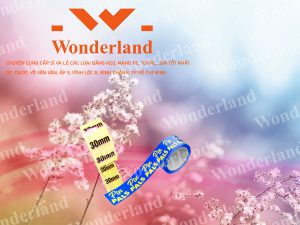 MUA BĂNG KEO IN SIZE 30MM GIÁ SỈ TỐT NHẤT Ở ĐÂU?