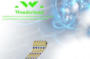 MUA BĂNG KEO IN SIZE 34MM Ở ĐÂU CÓ CHẤT LƯỢNG TỐT NHẤT?