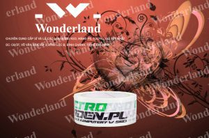 MUA BĂNG KEO IN SIZE 40MM Ở ĐÂU CÓ CHẤT LƯỢNG TỐT NHẤT?