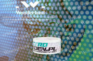 ĐẶT HÀNG BĂNG KEO IN SIZE 49MM Ở ĐÂU CÓ CHẤT LƯỢNG TỐT NHẤT?