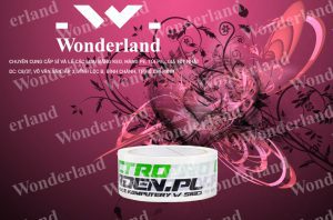 MUA BĂNG KEO IN THƯƠNG HIỆU SIZE 40MM GIÁ SỈ TỐT NHẤT Ở ĐÂU?