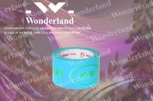 MUA BĂNG KEO IN THƯƠNG HIỆU SIZE 66MM GIÁ SỈ TỐT NHẤT Ở ĐÂU?