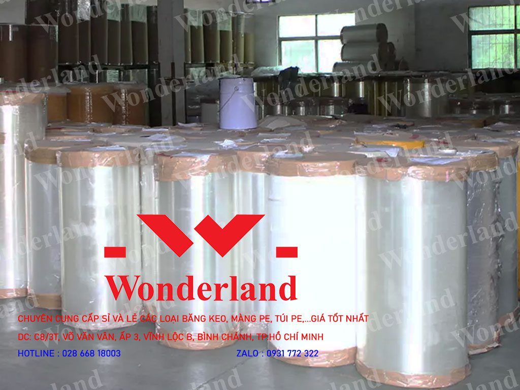 JUMBO BĂNG KEO TRONG WONDERLAND