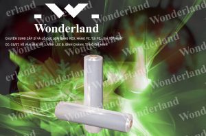 ĐỊA CHỈ CUNG CẤP MÀNG PE 3.1KG GIÁ SỈ TỐT NHẤT TẠI THÀNH PHỐ HỒ CHÍ MINH