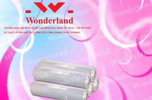 ĐỊA CHỈ CUNG CẤP MÀNG PE 4.2KG CHẤT LƯỢNG TỐT NHẤT