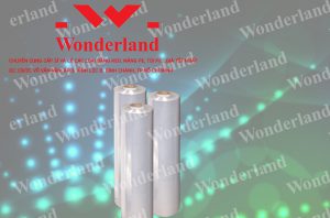 ĐỊA CHỈ CUNG CẤP MÀNG PE 4.0KG CHẤT LƯỢNG CAO GIÁ SỈ TỐT NHẤT