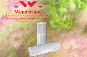 ĐỊA CHỈ CUNG CẤP MÀNG PE 5.6KG LÕI 500G GIÁ SỈ TỐT NHẤT TẠI TP.HỒ CHÍ MINH