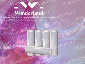 ĐỊA CHỈ CUNG CẤP MÀNG PE 5KG LÕI 500G CHẤT LƯỢNG CAO GIÁ SỈ TỐT NHẤT TẠI TP.HỒ CHÍ MINH