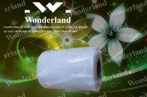 ĐÂU LÀ NHÀ CUNG CẤP MÀNG PE QUẤN MÁY 10.1KG LÕI 500G GIÁ RẺ NHẤT TẠI THÀNH PHỐ HỒ CHÍ MINH?