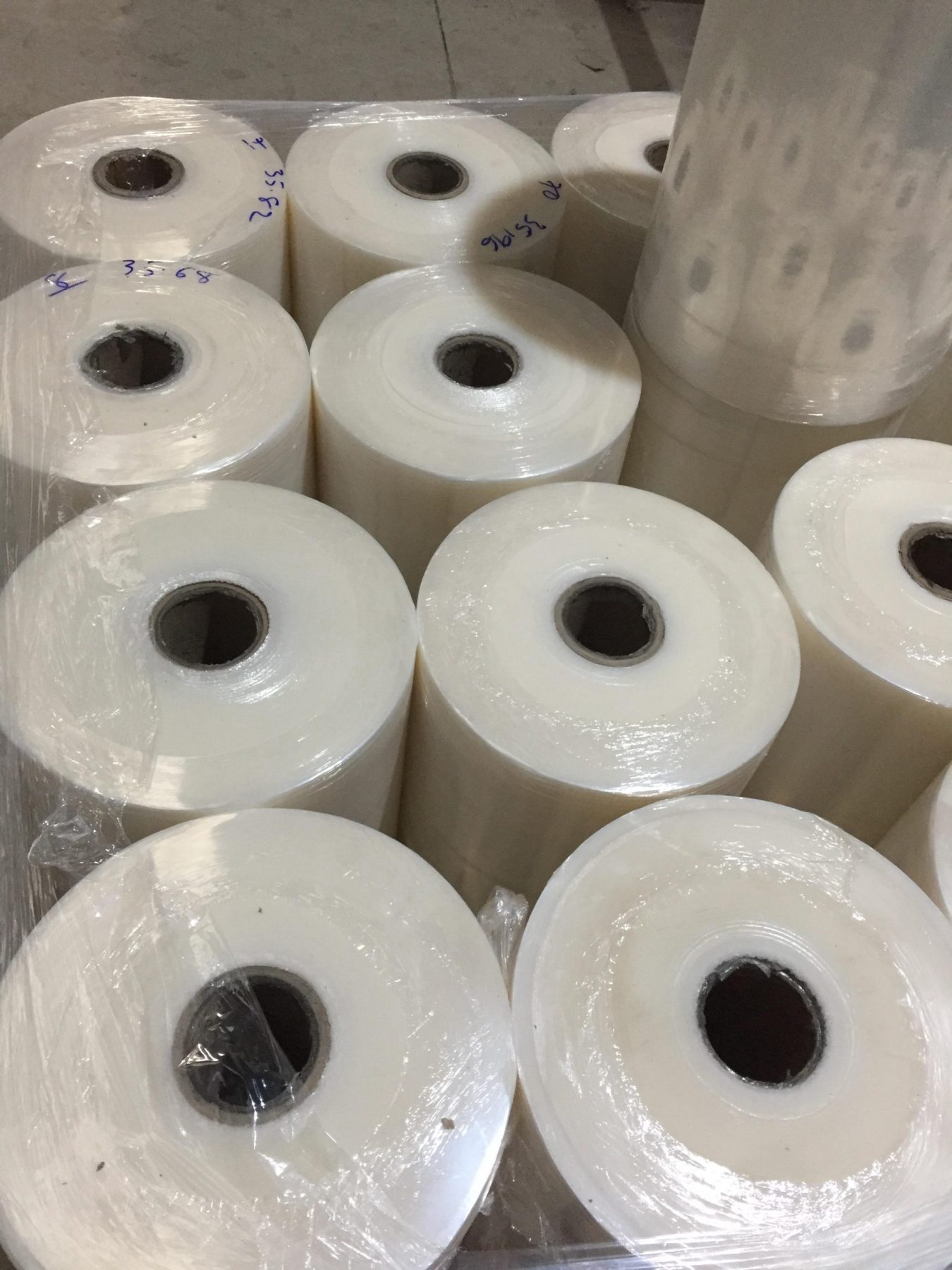 Màng PE số lượng lớn Wonderland