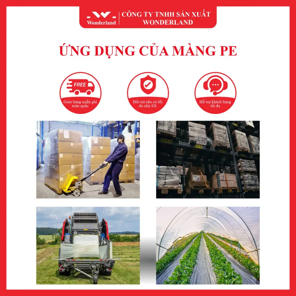 ỨNG DỤNG CỦA MÀNG PE