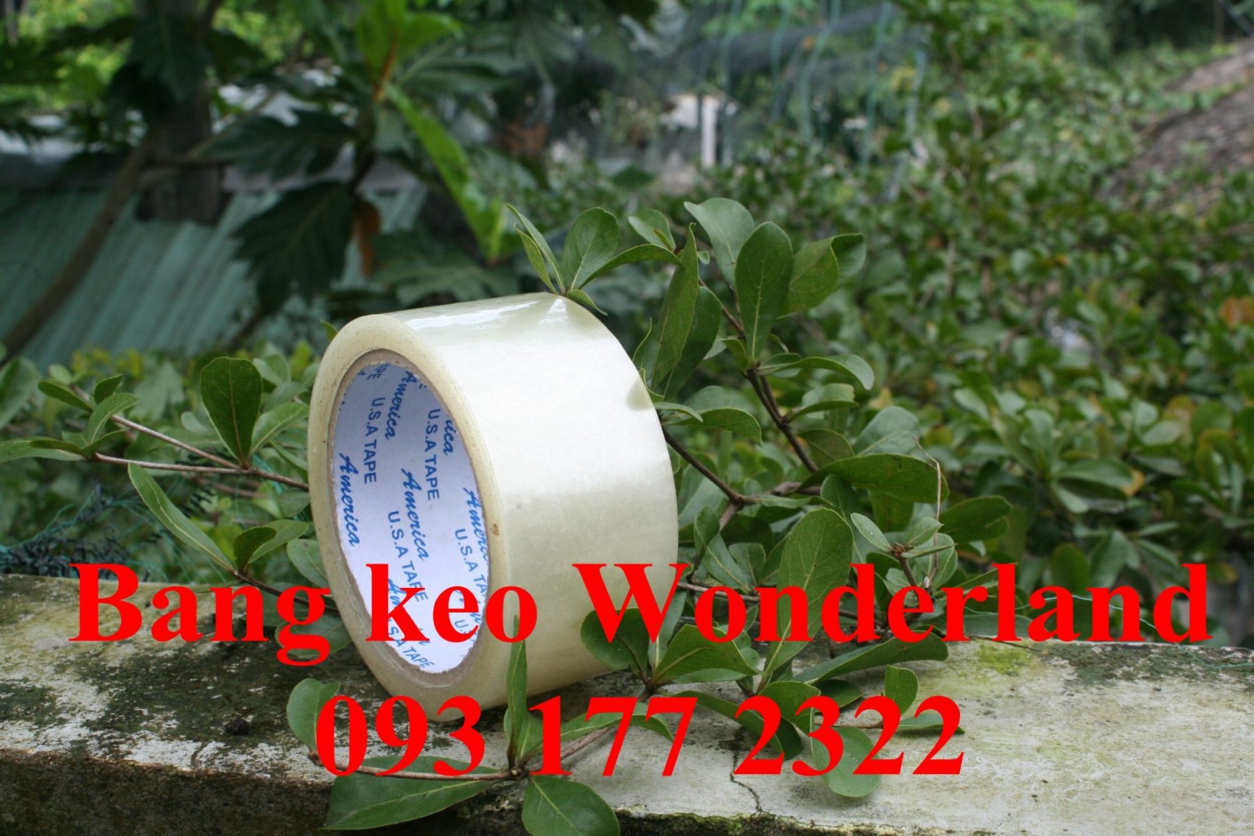 bang-keo-trong