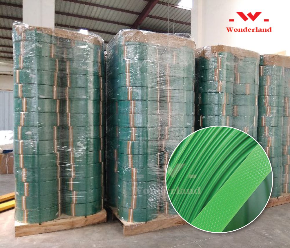 day-dai-pet-gia-si-wonderland