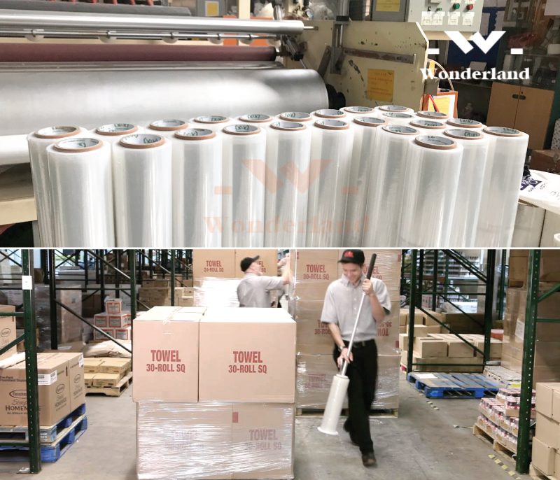 mang-pe-trang-gia-si-wonderland