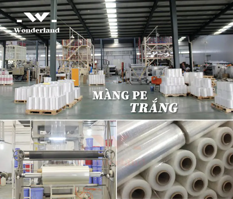 Wonderland - Đơn vị sản xuất và cung cấp màng PE giá sỉ, có sẵn số lượng lớn cho khách hàng