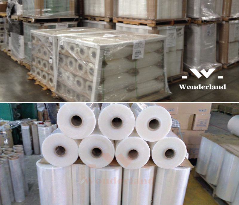 mang-pe-trang-gia-si-wonderland