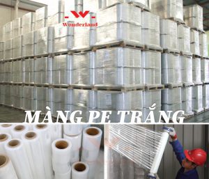 NHỮNG ƯU ĐIỂM VƯỢT TRỘI CỦA MÀNG PE