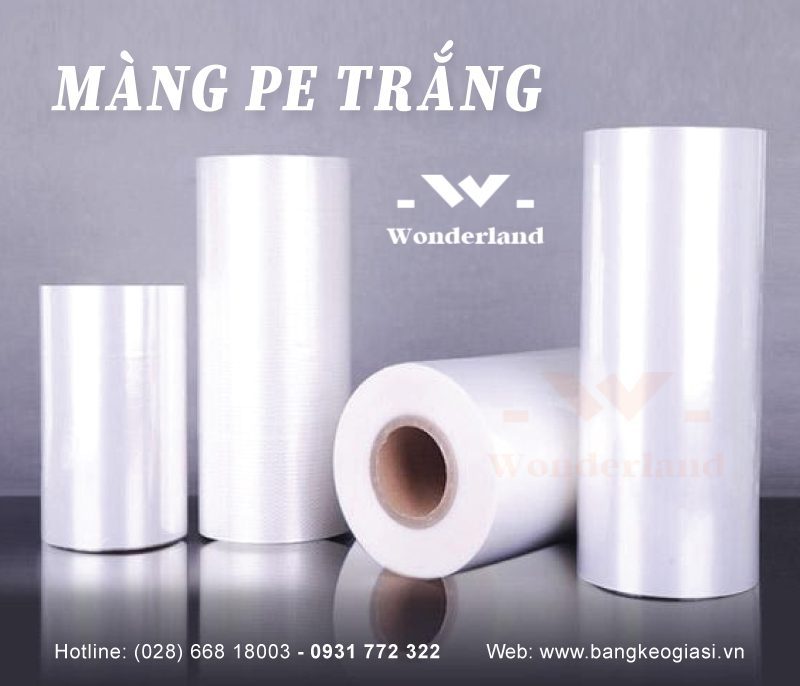 mang-pe-trang-gia-si-wonderland