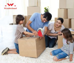 CÓ BAO NHIÊU LOẠI THÙNG CARTON TRÊN THỊ TRƯỜNG?