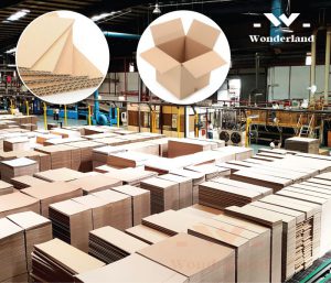 TÌM MUA THÙNG GIẤY CARTON TẠI TPHCM