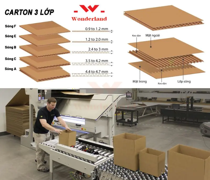 thung-carton-gia-si-wonderland