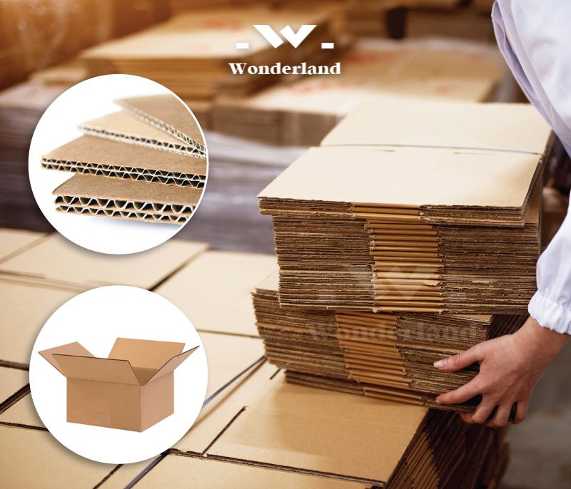 THÙNG GIẤY CARTON ĐƯỢC SỬ DỤNG RỘNG RÃI TRONG NHIỀU LĨNH VỰC