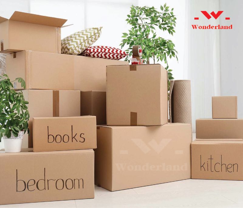 thung-carton-gia-si-wonderland