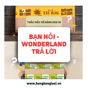 THẮC MẮC VỀ BĂNG KEO IN: BẠN HỎI - WONDERLAND TRẢ LỜI