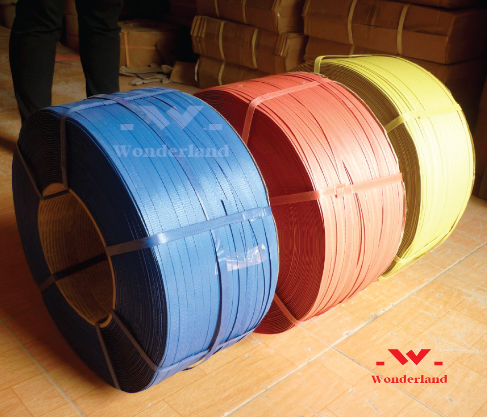 DÂY ĐAI NHỰA GIÁ SỈ TẠI CÔNG TY WONDERLAND