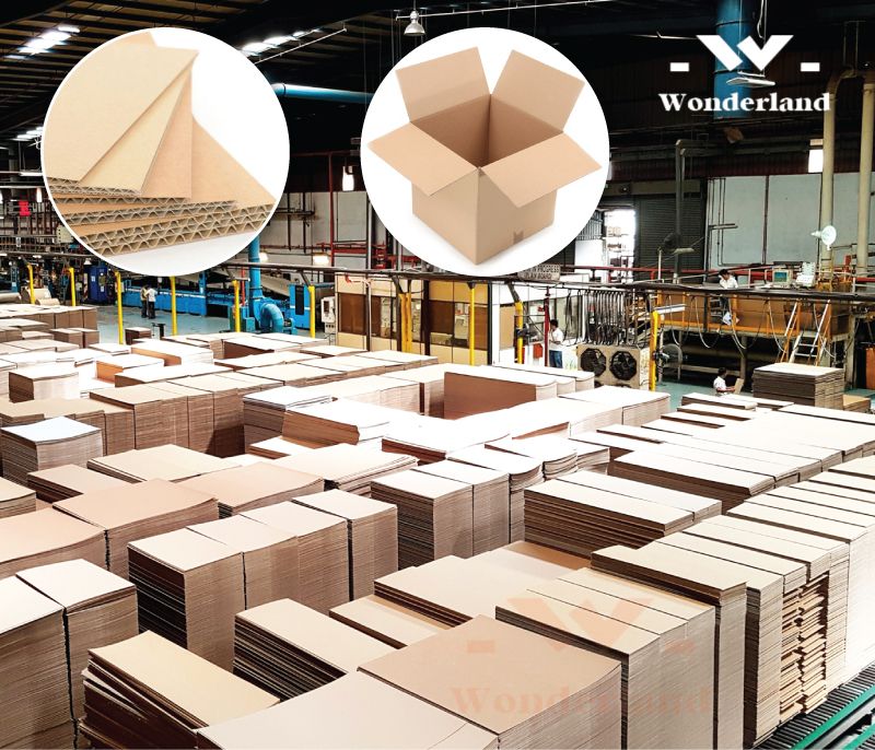 thung-carton-gia-si-wonderland